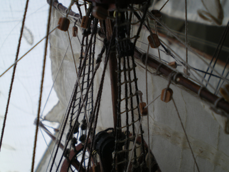 IMGP1216.JPG