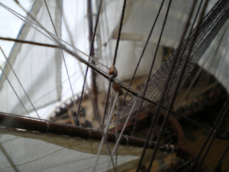 IMGP1218.JPG