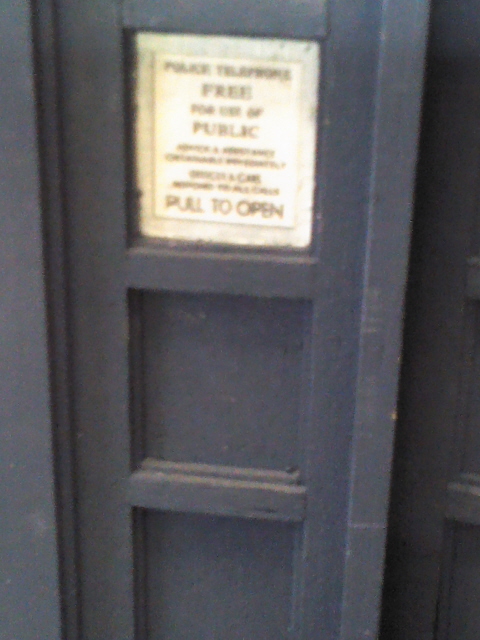 DWT-004.jpg