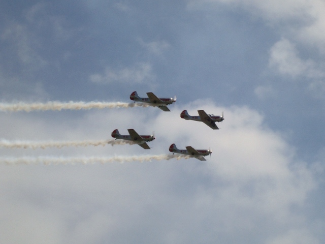 DSC07800 (640x480).jpg