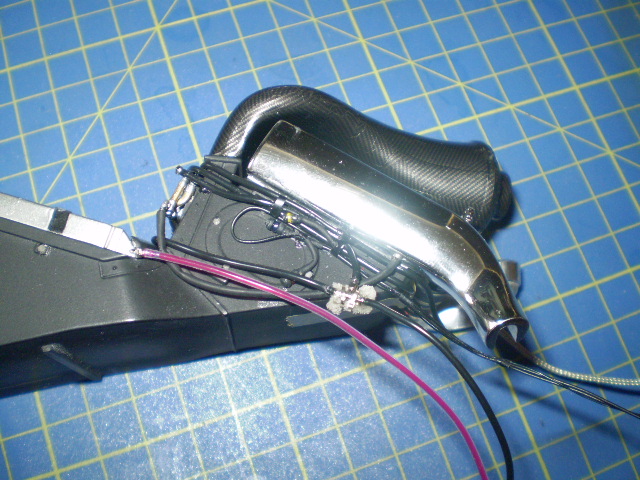 P6230005.JPG
