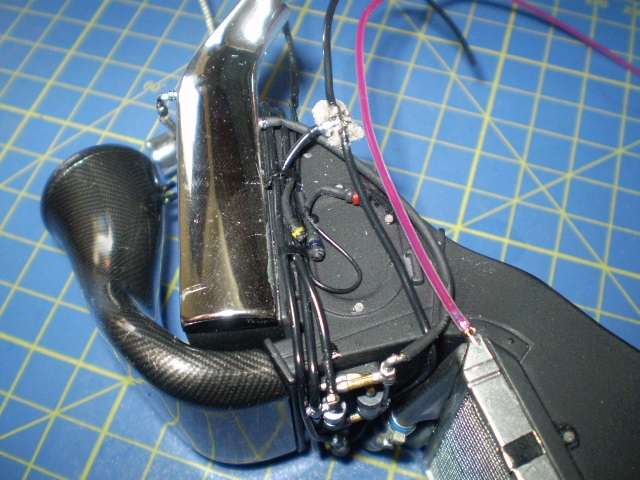 P6230008.JPG