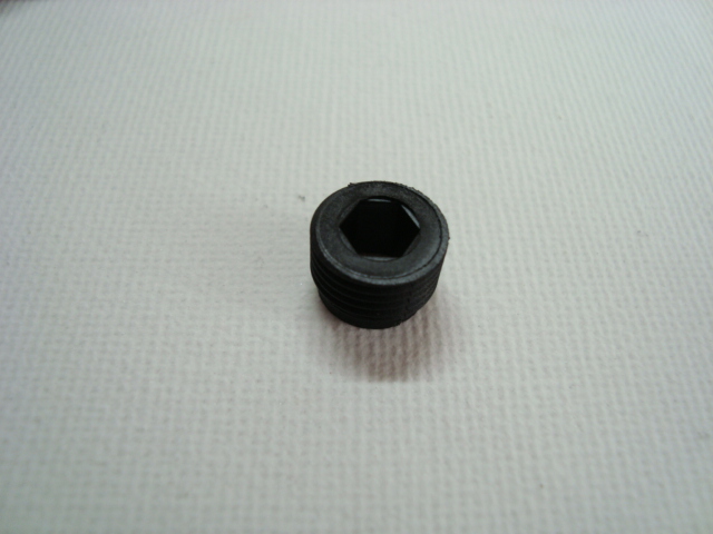 DSC09987.JPG