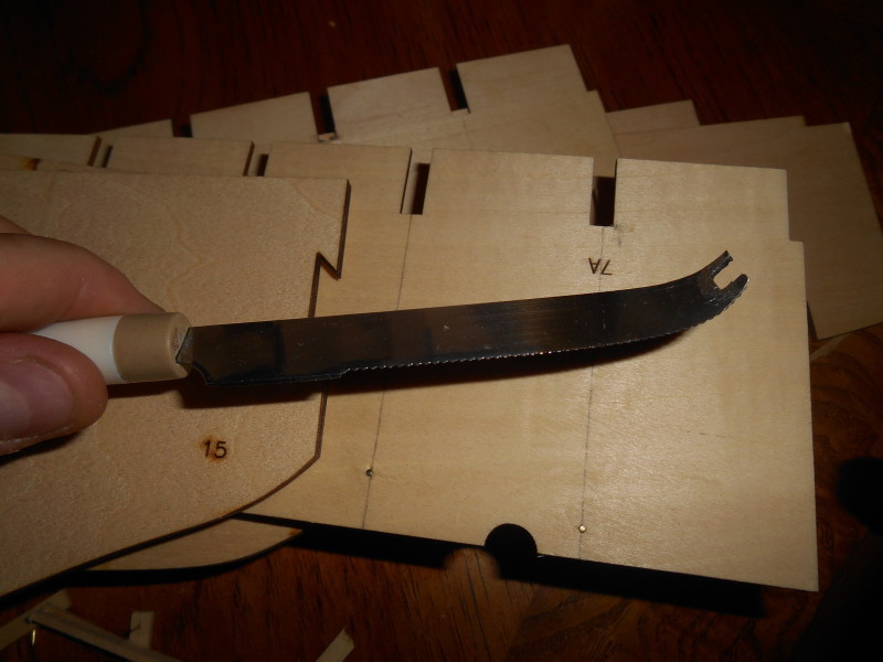 DSCN0950.JPG