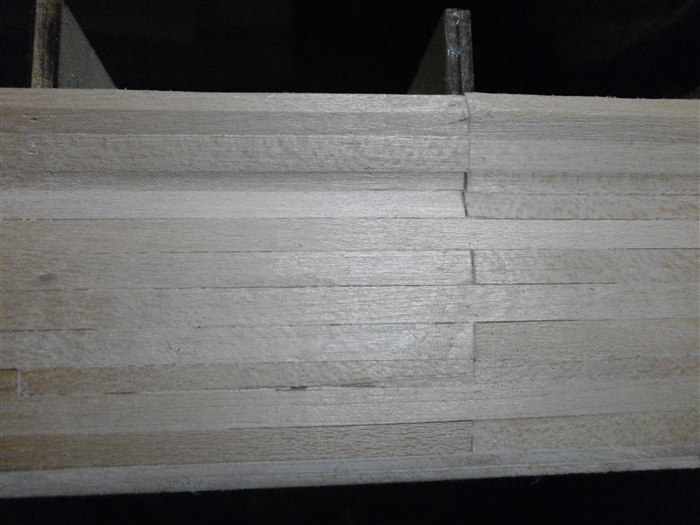 PB300301.jpg