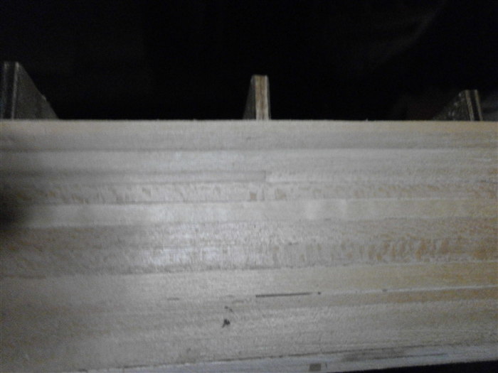 PB300303.jpg