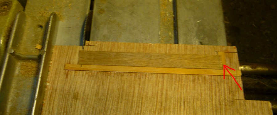 cut one.jpg
