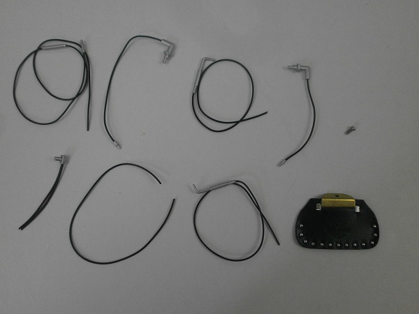 P9190825.JPG