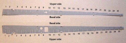 Z2-19.jpg