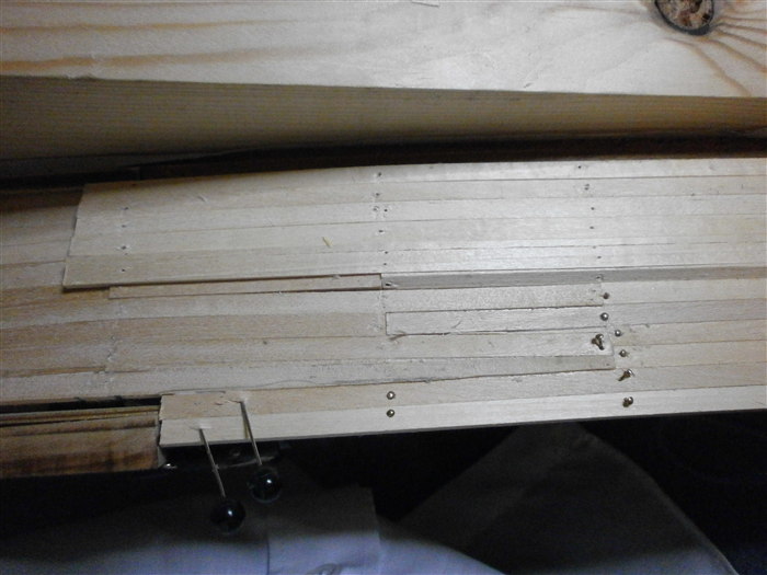 P1050503.jpg
