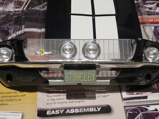 SHELBY1.jpg
