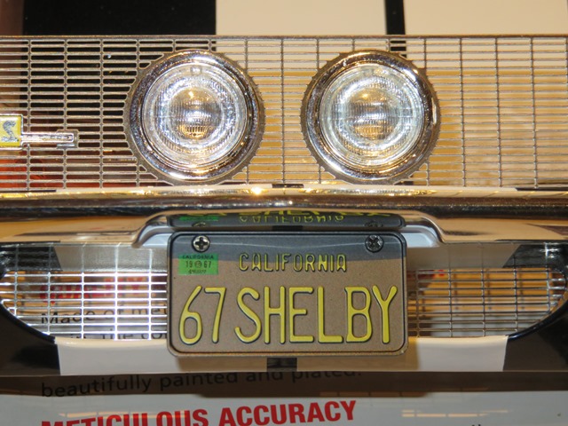 SHELBY2.jpg