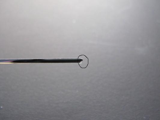 Z6-6a.JPG