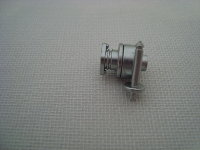 DSC09887.JPG