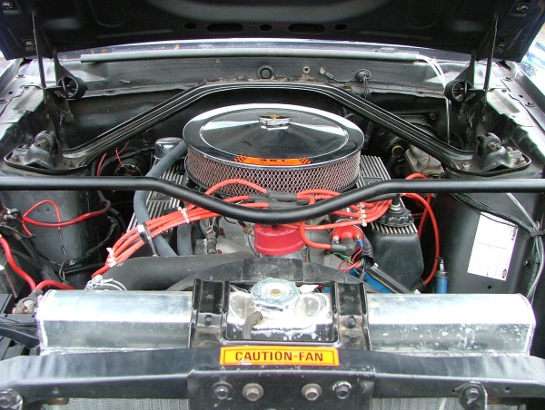 Mustang pics 007 resize.jpg