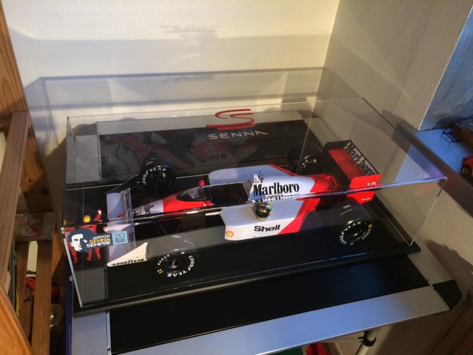 senna 1.jpg