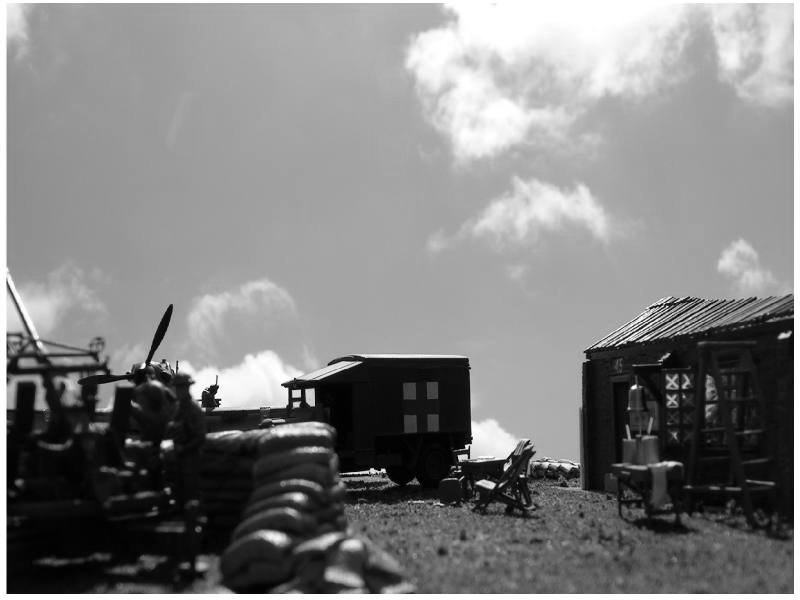 Sky 1 800x600.JPG