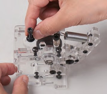P53-4.jpg