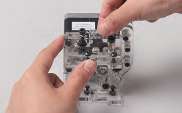 P53-12.jpg