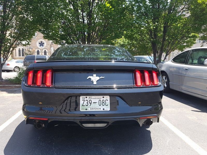 Mustang1.jpg