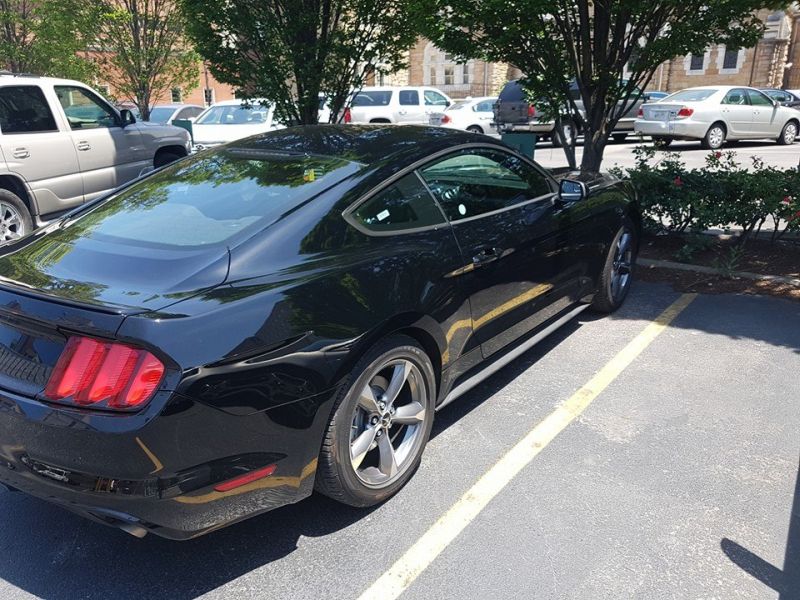 Mustang2.jpg