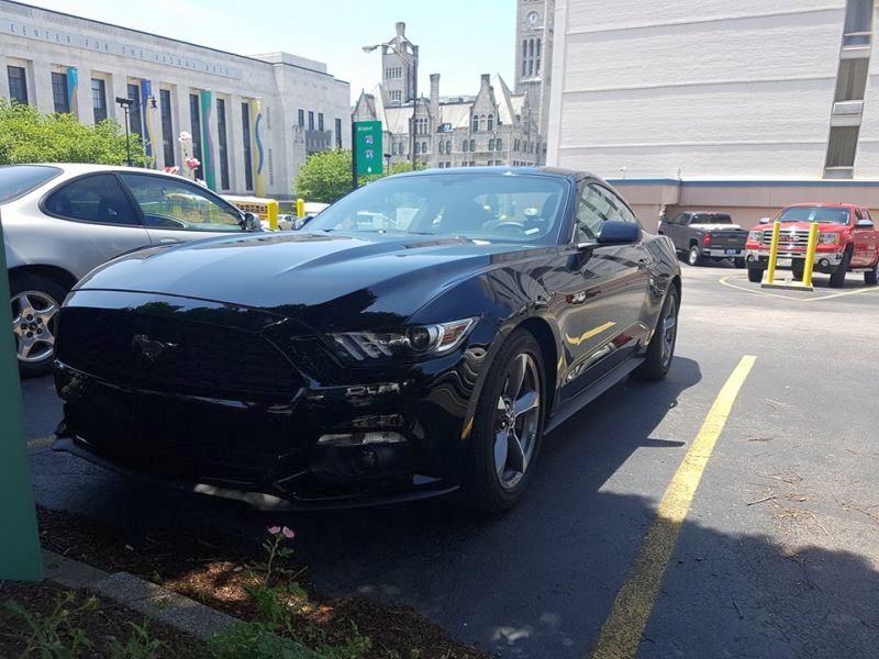 Mustang3.jpg