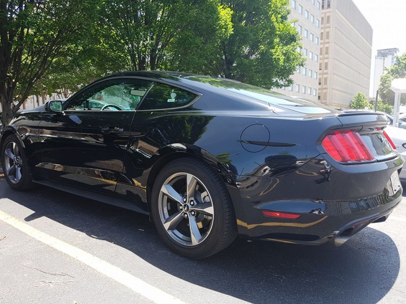 Mustang4.jpg