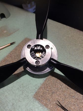 IMG_1649 (338x450).jpg