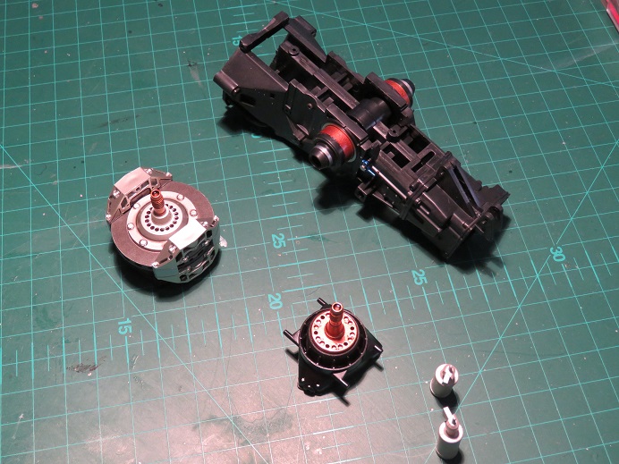 sen81.jpg