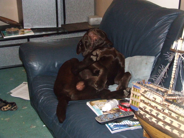 DSCF4902.JPG