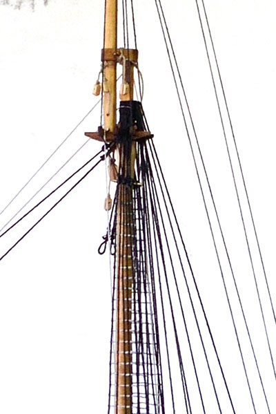 DSC_3433_02.jpg