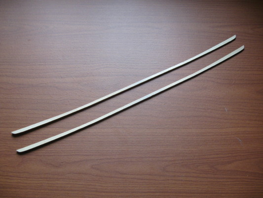 A3134-8x.JPG