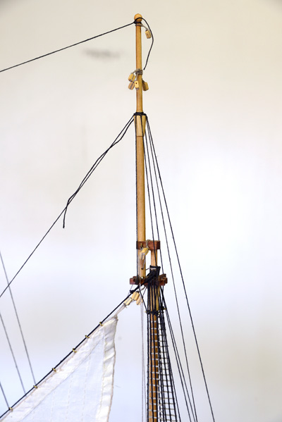 DSC_3438_02.jpg