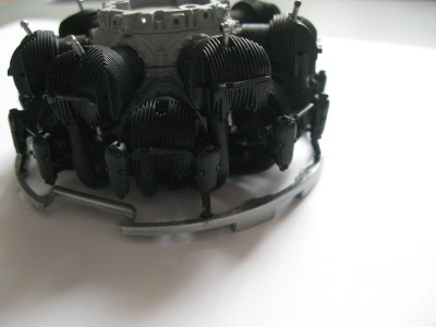 Z16-5.JPG