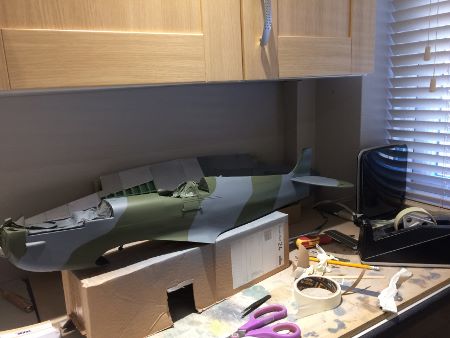 IMG_2178 (450x338).jpg