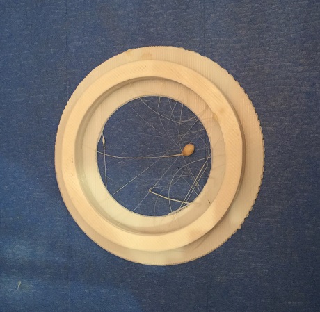 ring1.jpg