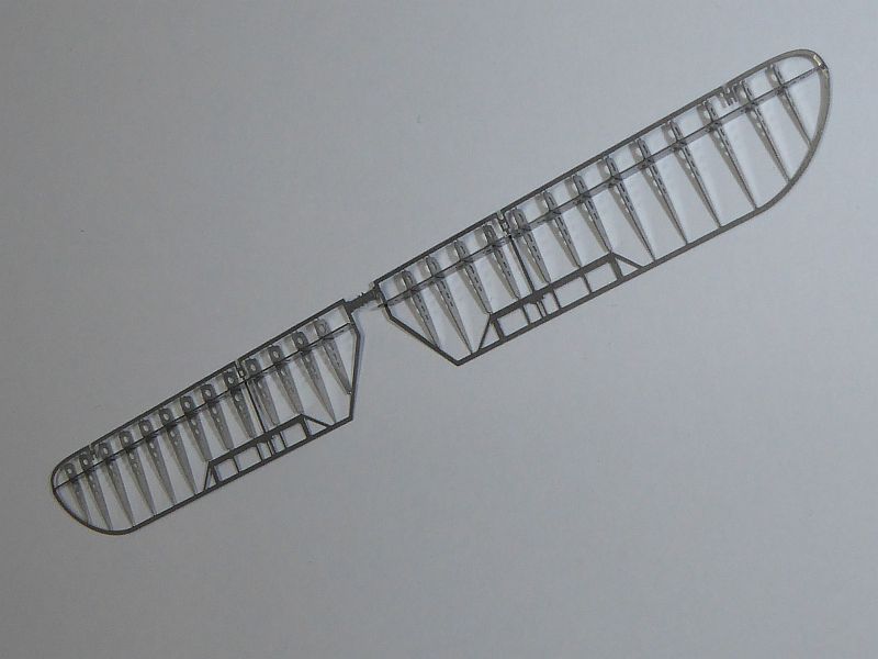 P1010460.JPG