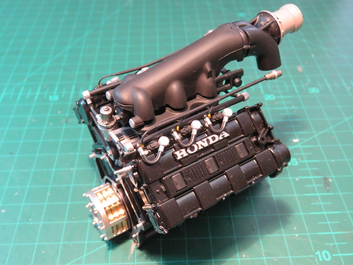 sen146.jpg