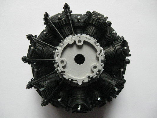 Z19-10.JPG