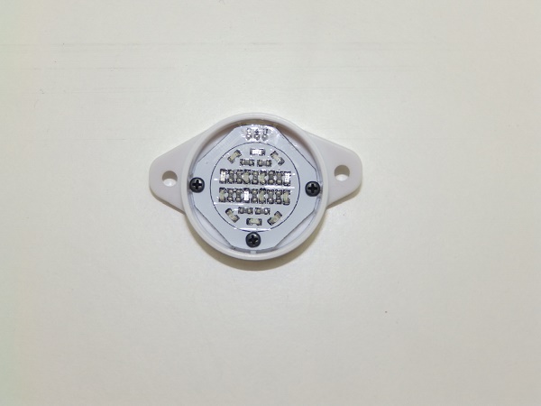 PB190687.JPG