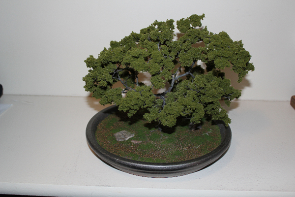 tree1.jpg