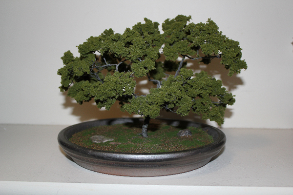 tree2.jpg