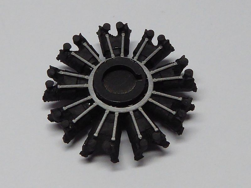 P1020027.JPG