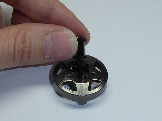 P1020137.JPG