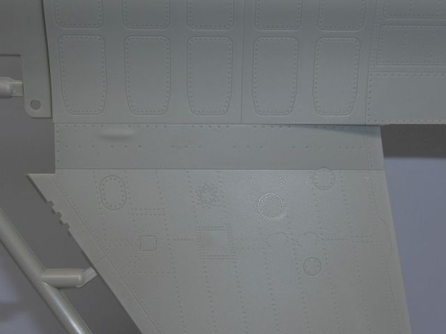 P1020252.JPG