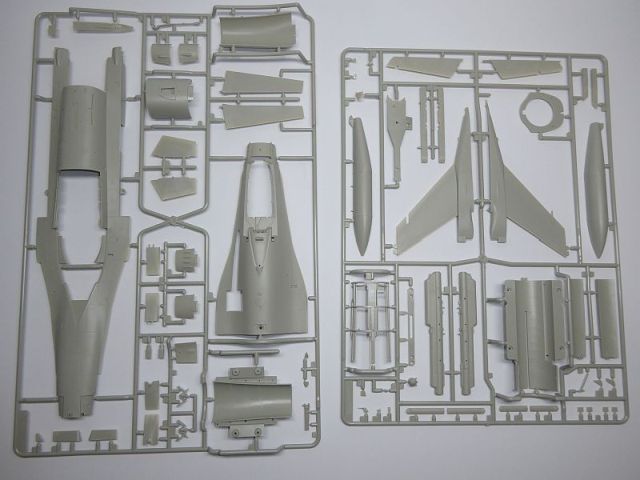 P1020253.JPG
