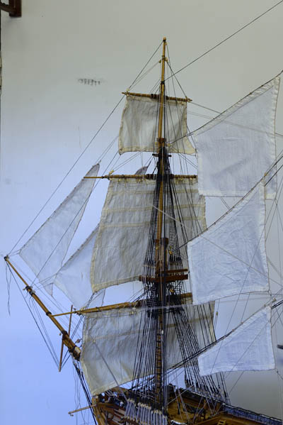 DSC_3554_02.jpg