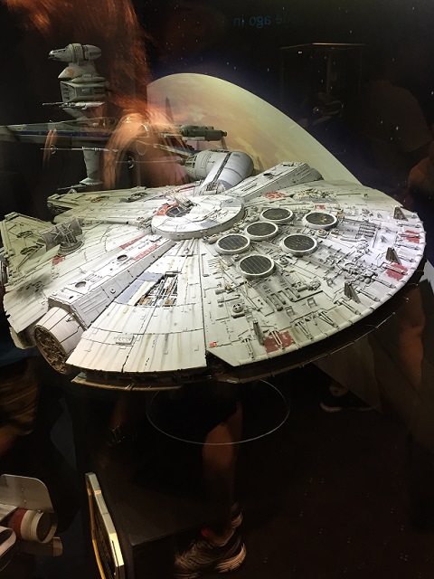 falcon1.jpg