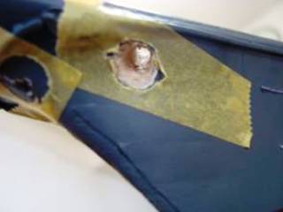 pic2.jpg