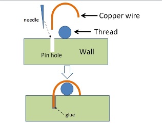 pic5.jpg
